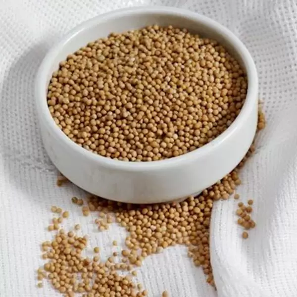 MOSTARDA EM GRÃOS 100g